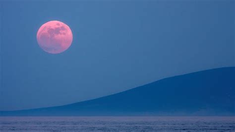 pink moon best time to see